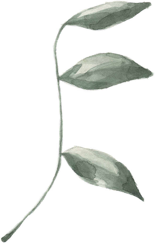 Modern oasis leaf